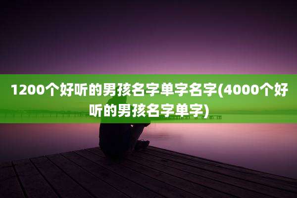 1200个好听的男孩名字单字名字(4000个好听的男孩名字单字)