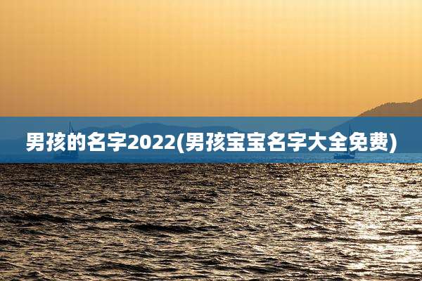 男孩的名字2022(男孩宝宝名字大全免费)