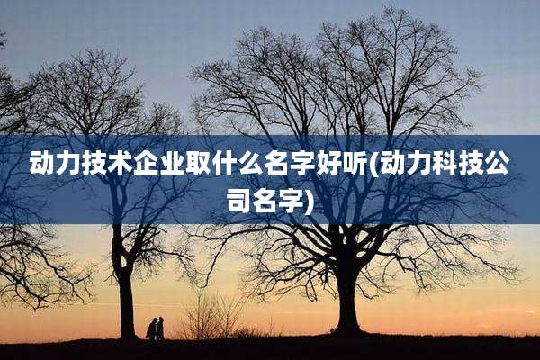 动力技术企业取什么名字好听(动力科技公司名字)
