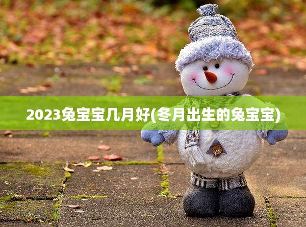 2023兔宝宝几月好(冬月出生的兔宝宝)