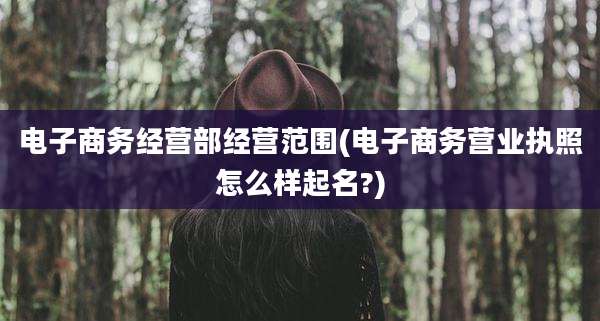 电子商务经营部经营范围(电子商务营业执照怎么样起名?)