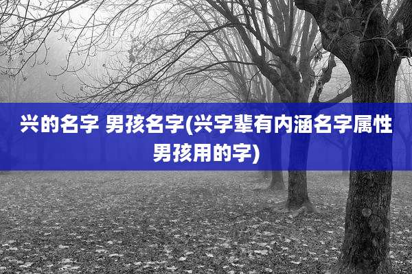 兴的名字 男孩名字(兴字辈有内涵名字属性男孩用的字)