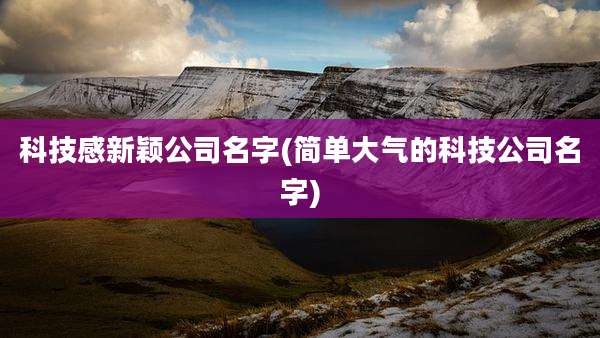 科技感新颖公司名字(简单大气的科技公司名字)