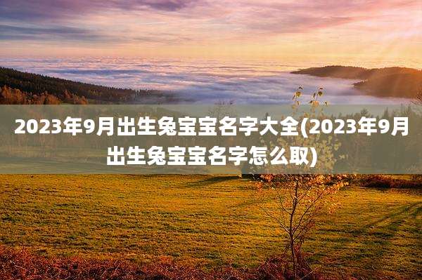 2023年9月出生兔宝宝名字大全(2023年9月出生兔宝宝名字怎么取)