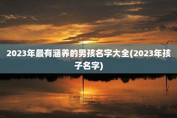 2023年最有涵养的男孩名字大全(2023年孩子名字)
