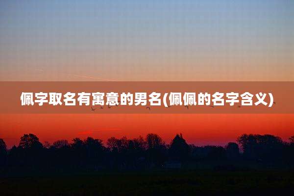 佩字取名有寓意的男名(佩佩的名字含义)