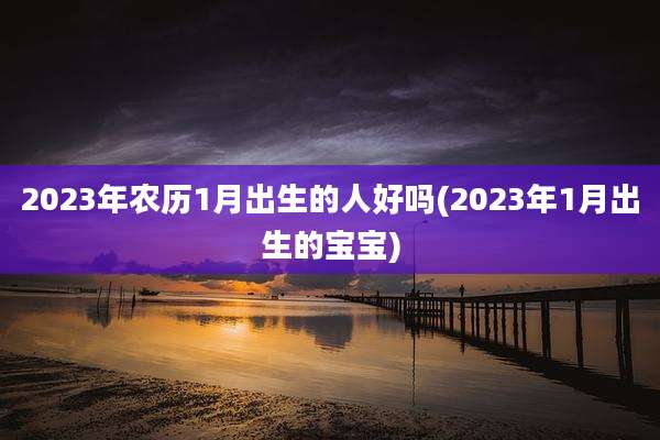2023年农历1月出生的人好吗(2023年1月出生的宝宝)