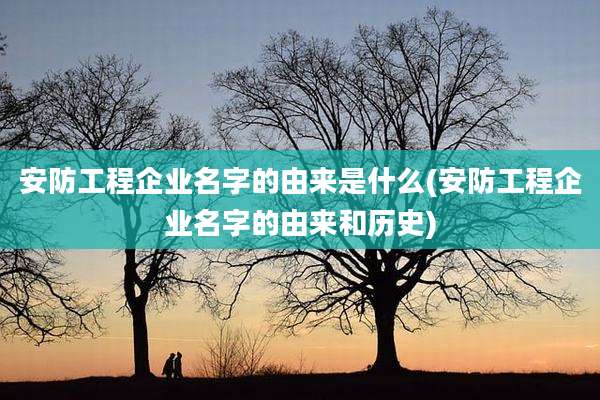 安防工程企业名字的由来是什么(安防工程企业名字的由来和历史)