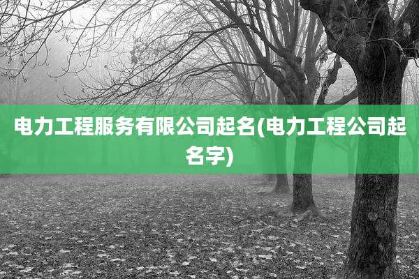 电力工程服务有限公司起名(电力工程公司起名字)