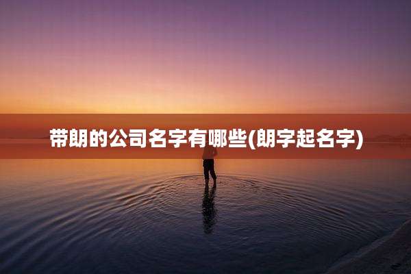 带朗的公司名字有哪些(朗字起名字)