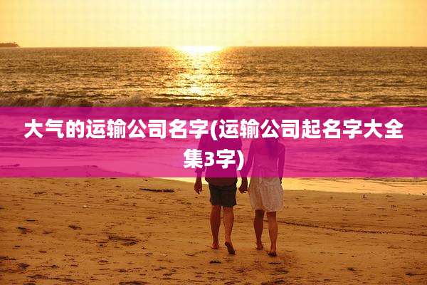 大气的运输公司名字(运输公司起名字大全集3字)