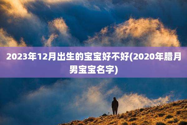 2023年12月出生的宝宝好不好(2020年腊月男宝宝名字)