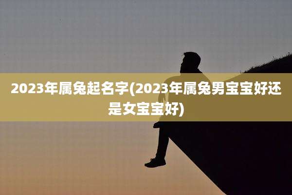 2023年属兔起名字(2023年属兔男宝宝好还是女宝宝好)