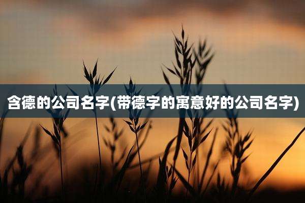 含德的公司名字(带德字的寓意好的公司名字)