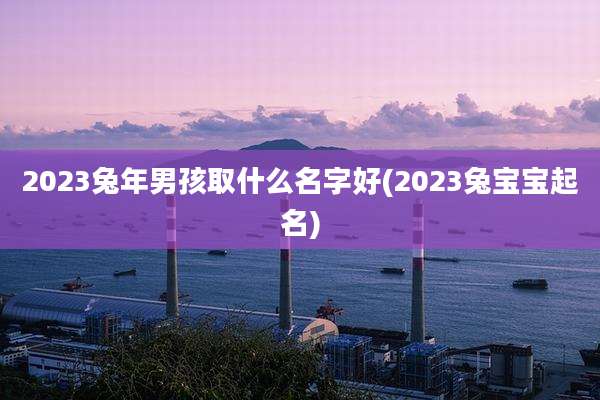 2023兔年男孩取什么名字好(2023兔宝宝起名)