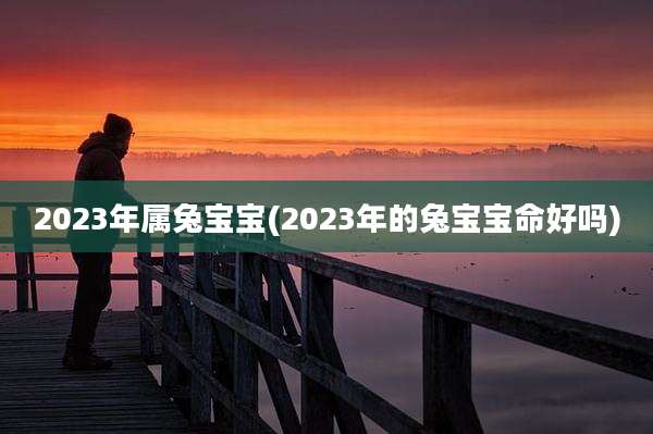 2023年属兔宝宝(2023年的兔宝宝命好吗)