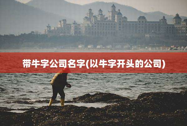 带牛字公司名字(以牛字开头的公司)