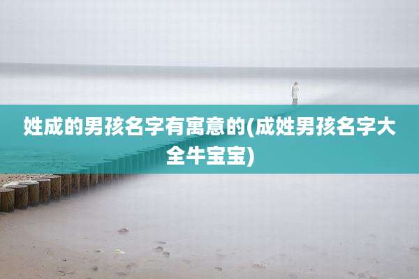 姓成的男孩名字有寓意的(成姓男孩名字大全牛宝宝)