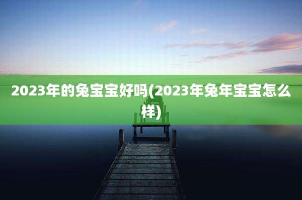 2023年的兔宝宝好吗(2023年兔年宝宝怎么样)