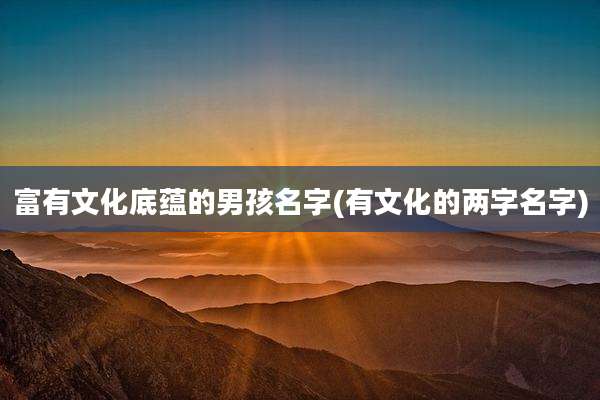富有文化底蕴的男孩名字(有文化的两字名字)