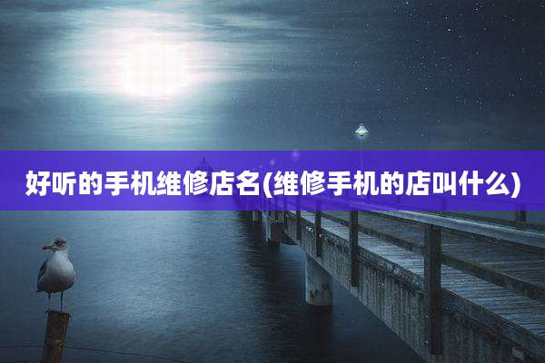 好听的手机维修店名(维修手机的店叫什么)