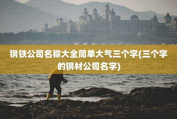 钢铁公司名称大全简单大气三个字(三个字的钢材公司名字)