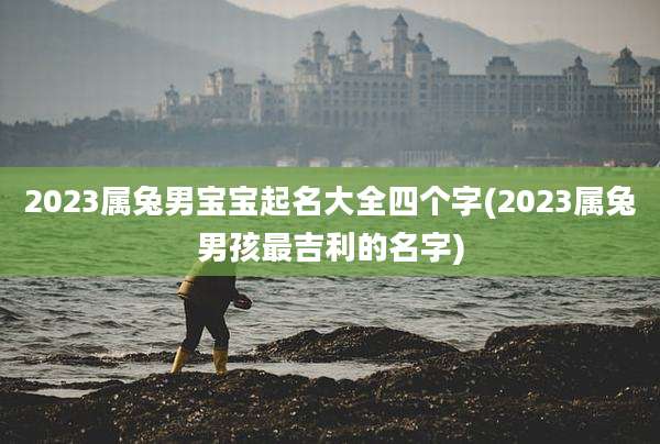 2023属兔男宝宝起名大全四个字(2023属兔男孩最吉利的名字)