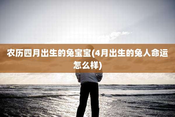 农历四月出生的兔宝宝(4月出生的兔人命运怎么样)
