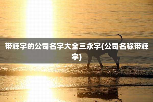 带辉字的公司名字大全三永字(公司名称带辉字)