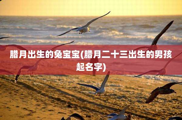 腊月出生的兔宝宝(腊月二十三出生的男孩起名字)