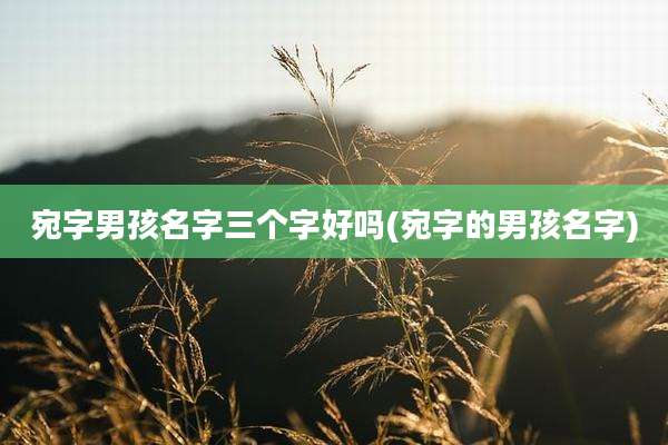 宛字男孩名字三个字好吗(宛字的男孩名字)