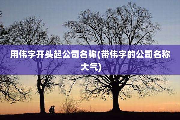 用伟字开头起公司名称(带伟字的公司名称 大气)