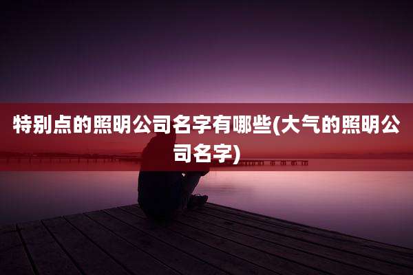 特别点的照明公司名字有哪些(大气的照明公司名字)