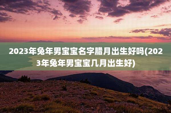 2023年兔年男宝宝名字腊月出生好吗(2023年兔年男宝宝几月出生好)