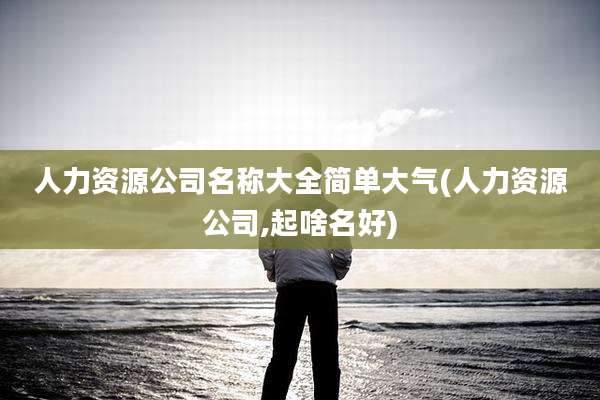 人力资源公司名称大全简单大气(人力资源公司,起啥名好)