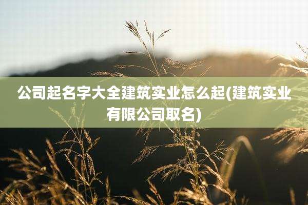 公司起名字大全建筑实业怎么起(建筑实业有限公司取名)