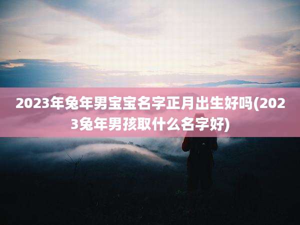 2023年兔年男宝宝名字正月出生好吗(2023兔年男孩取什么名字好)