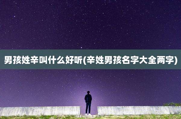 男孩姓辛叫什么好听(辛姓男孩名字大全两字)