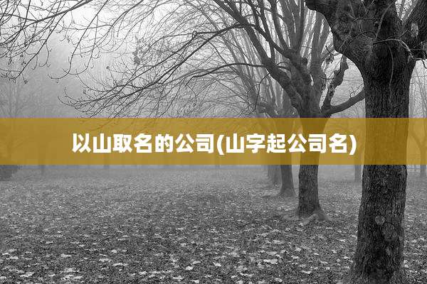以山取名的公司(山字起公司名)