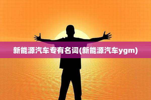 新能源汽车专有名词(新能源汽车ygm)