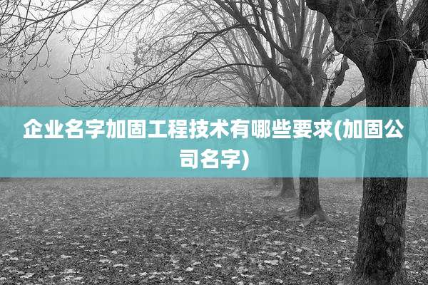 企业名字加固工程技术有哪些要求(加固公司名字)