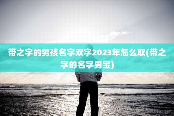 带之字的男孩名字双字2023年怎么取(带之字的名字男宝)