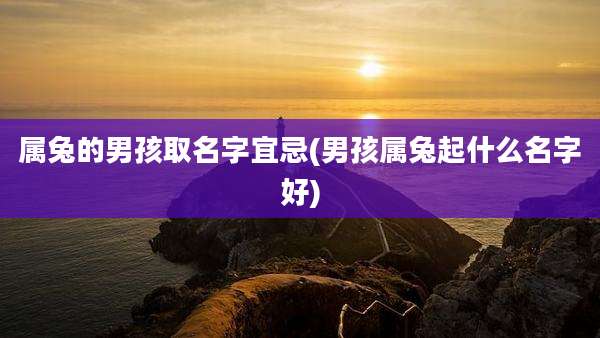 属兔的男孩取名字宜忌(男孩属兔起什么名字好)