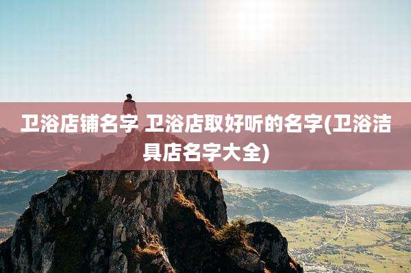 卫浴店铺名字 卫浴店取好听的名字(卫浴洁具店名字大全)