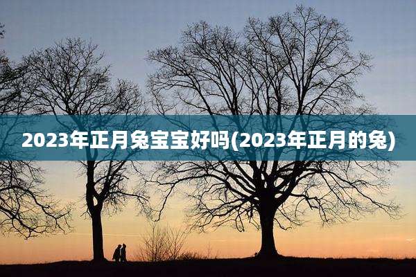 2023年正月兔宝宝好吗(2023年正月的兔)