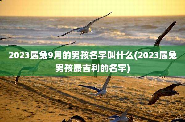 2023属兔9月的男孩名字叫什么(2023属兔男孩最吉利的名字)