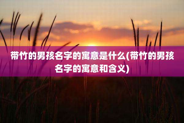 带竹的男孩名字的寓意是什么(带竹的男孩名字的寓意和含义)