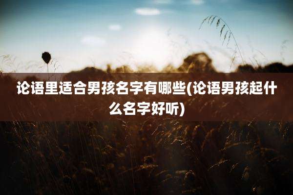 论语里适合男孩名字有哪些(论语男孩起什么名字好听)