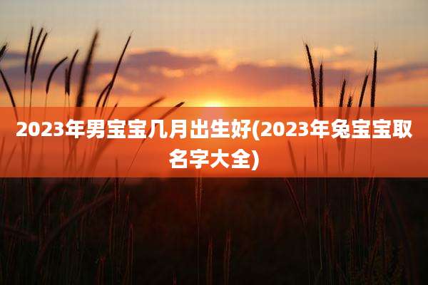 2023年男宝宝几月出生好(2023年兔宝宝取名字大全)