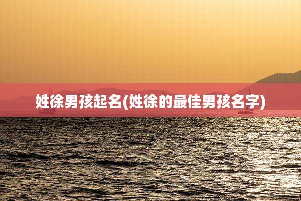 姓徐男孩起名(姓徐的最佳男孩名字)
